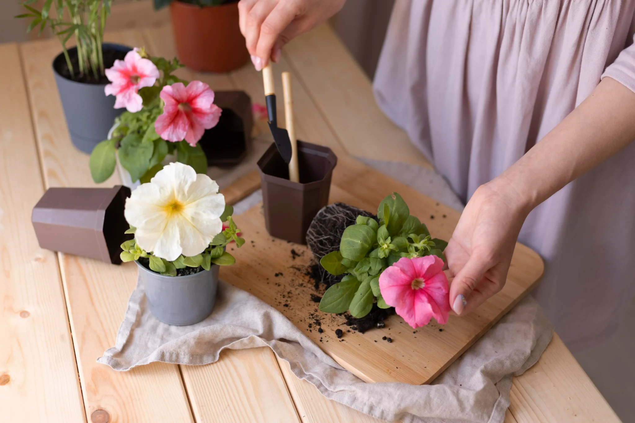 How to Create a Stunning Flower Garden in 5 Easy Steps