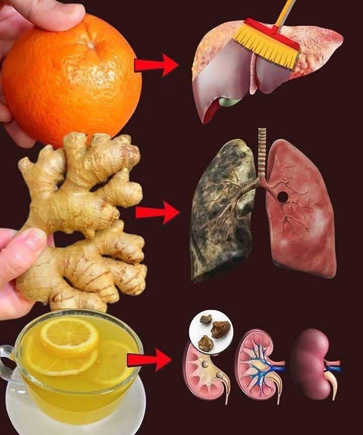 Cleanse Your Kidneys, Liver, and Lungs Naturally – Best Natural Detox Methods for a Healthier You 556138062_785251654503785_6608250357213722812_n
