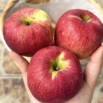 Quels sont les bienfaits des pommes ? 581727954_1264597585704814_2049985905233385002_n