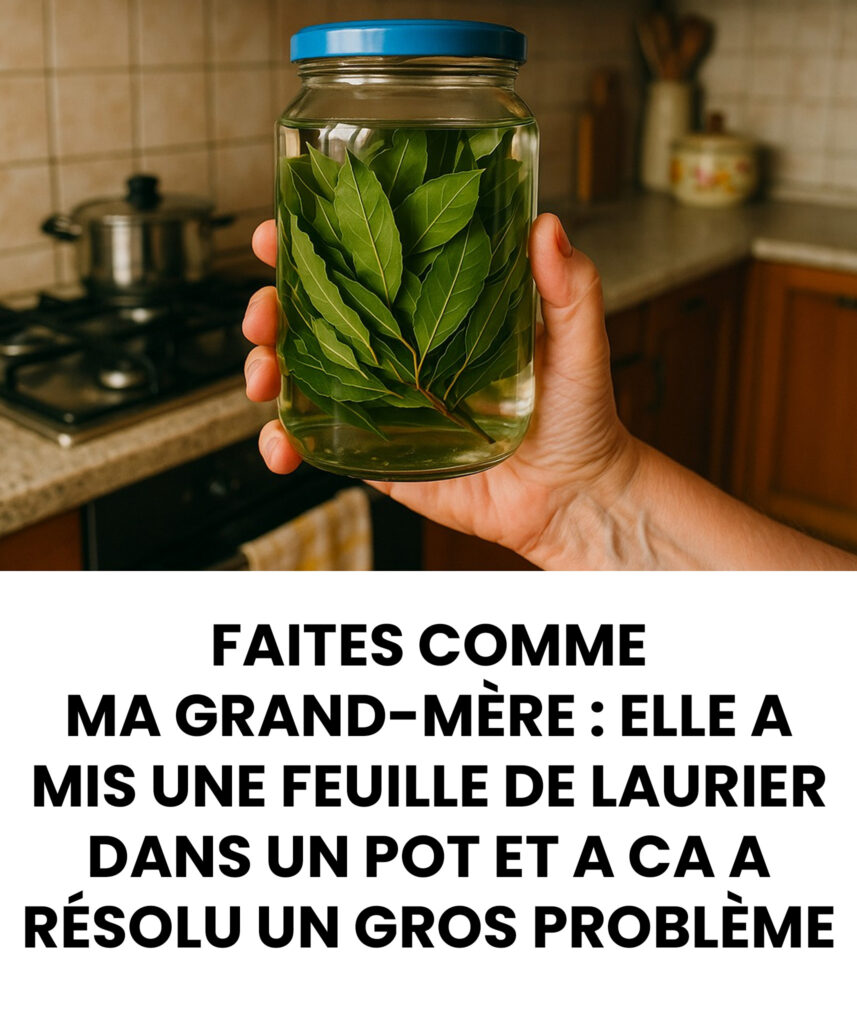 Infusion de laurier : quels bienfaits ?
