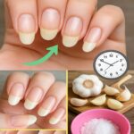 584431664_1151668950426447_6827682240088673790_n