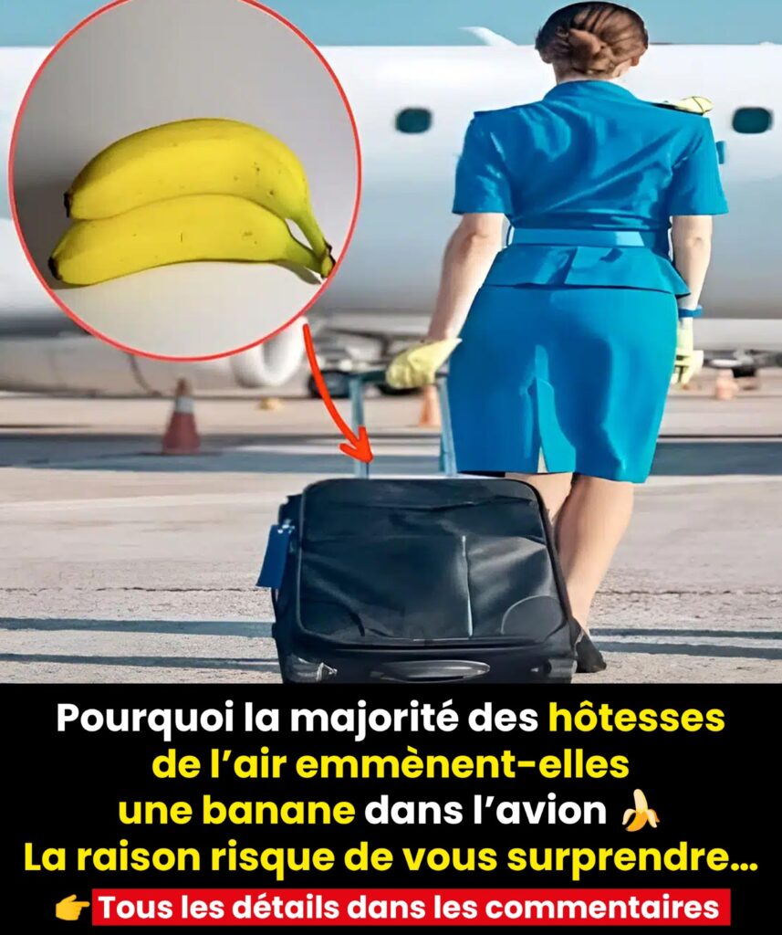 Pourquoi de nombreuses hôtesses de l’air emportent-elles toujours une banane avec elles à bord ?