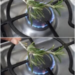 Le secret du romarin : comment sa fumée peut transformer l’atmosphère de votre maison et apaiser votre esprit 584663731_1264509365713636_6190607900876806711_n