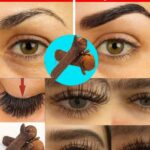 585211874_1150924597167549_8738102069355425385_n