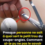 585526478_1265829782248261_5927298168968336778_n