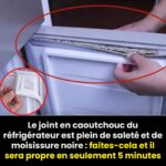 Comment nettoyer le joint en caoutchouc du réfrigérateur ?