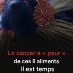 Le cancer a « peur » de ces 8 aliments.