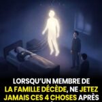 586722016_1411755747626938_3348794944483804580_n