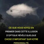 587354716_904238542770818_7898749456640426148_n