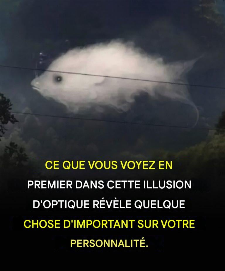 Test : Ce que vous voyez en premier révèle quelque chose d’important sur votre personnalité