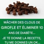 587826338_122273203100227154_6003357229899666943_n