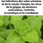 587902728_1154162003510475_1992957372163753288_n