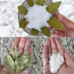 588110526_1157031503223525_8000962070557822792_n