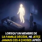 588238755_1269139258583980_3482081773174333993_n