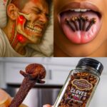 Garder un clou de girofle dans la bouche : une méthode naturelle pour soulager le mal de dents