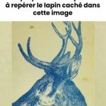 588500717_1154201043506571_3931702581705753393_n