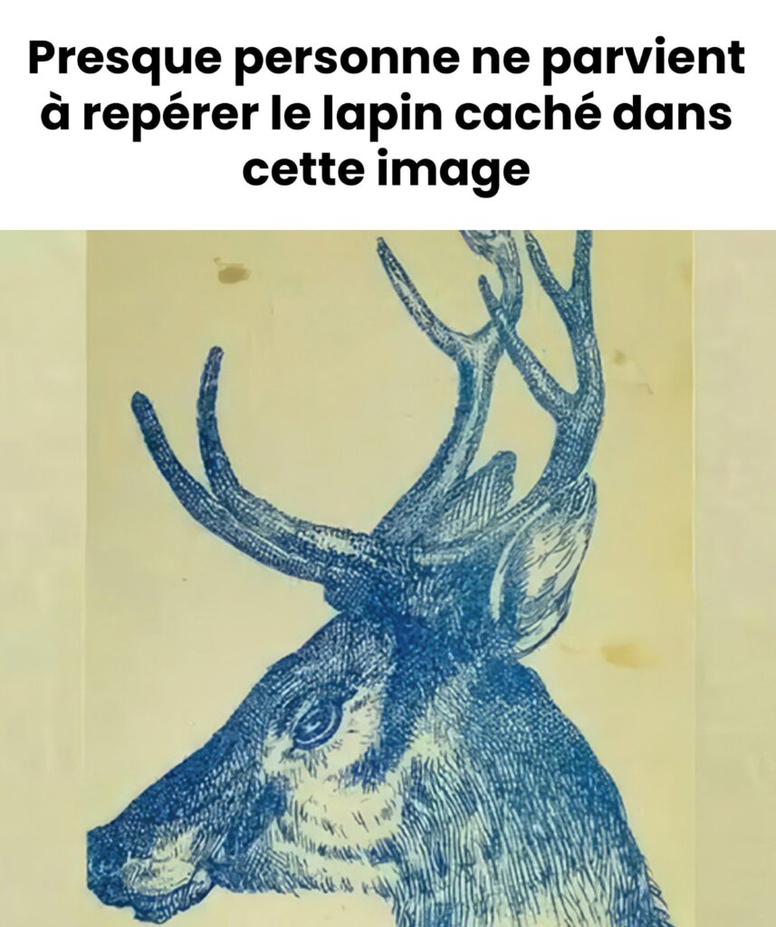 Testez votre œil de lynx : dénichez le lapin caché dans ce cerf en un clin d’œil !
