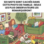 Pouvez-vous détecter les six mots cachés dans cette image ?