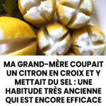 Le duo sel–citron : un vieux remède de grand-mère aux résultats surprenants