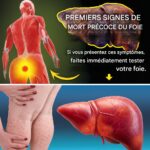Vous pensez être en bonne santé ? Mais votre foie pourrait ne pas être d’accord… Ne négligez pas ces 12 signes avant-coureurs cachés !