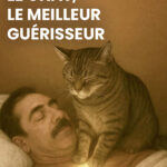 Si votre chat s’approche de votre visage pendant que vous dormez, c’est qu’il se passe quelque chose dans votre vie