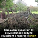 589210467_2338122646659237_507173594087696303_n