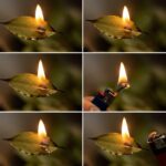 Le pouvoir méconnu du laurier : une coutume ancestrale pour embellir votre habitat