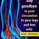 58f8a836-a4de-4c05-860b-9a47ddf2a721