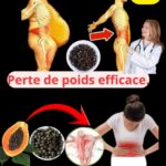 Graines de papaye : le remède naturel que peu de gens connaissent. 595685291_1392675185789102_5147940074998828574_n