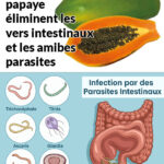 Les bienfaits des graines de papaye : pour la santé des intestins, la détox du foie et des reins 597866514_926054863922519_4094360736279149167_n